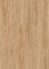Wood Grain Click SPC Flooring 4mm Glorious Youth Oak GKBM Greenpy SY-W1002